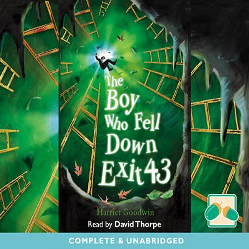 The Boy Who Fell Down Exit 43